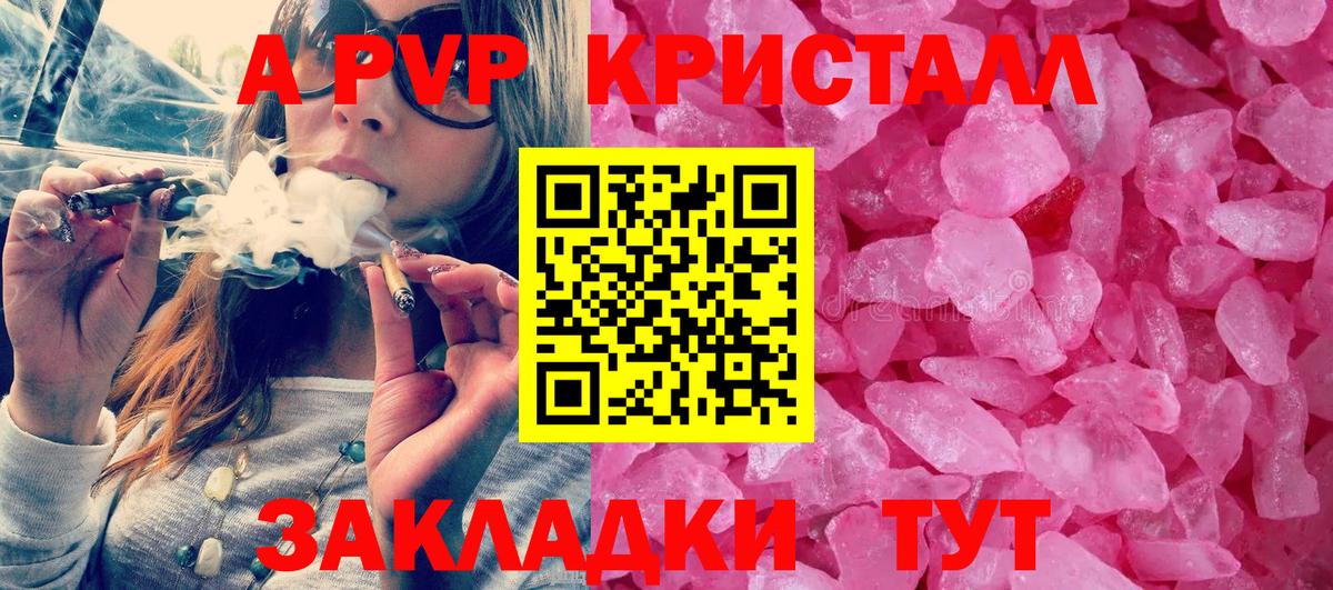 APVP Кингисепп