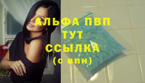 индика Новокубанск