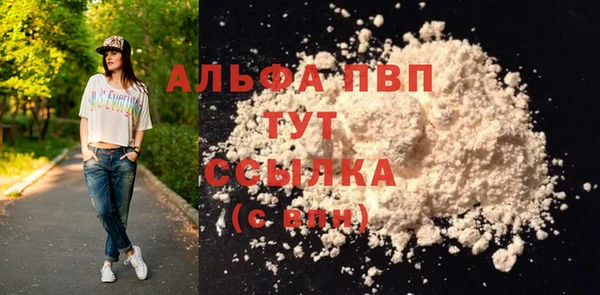 индика Новокубанск