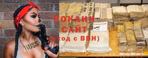 индика Новокубанск