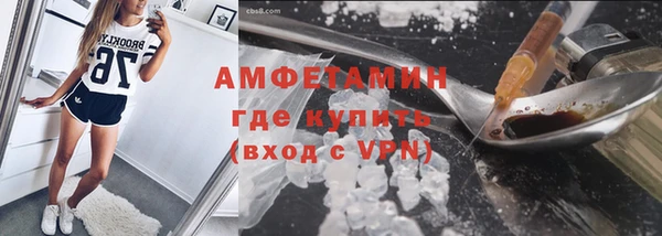 индика Новокубанск