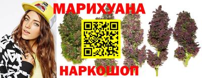 Альфа ПВП Гусев