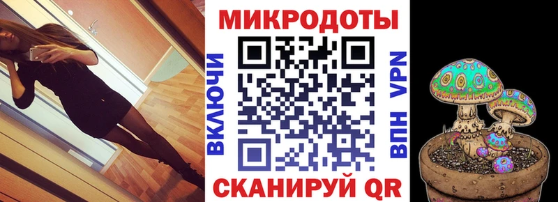 Псилоцибиновые грибы прущие грибы  где найти   Кингисепп 