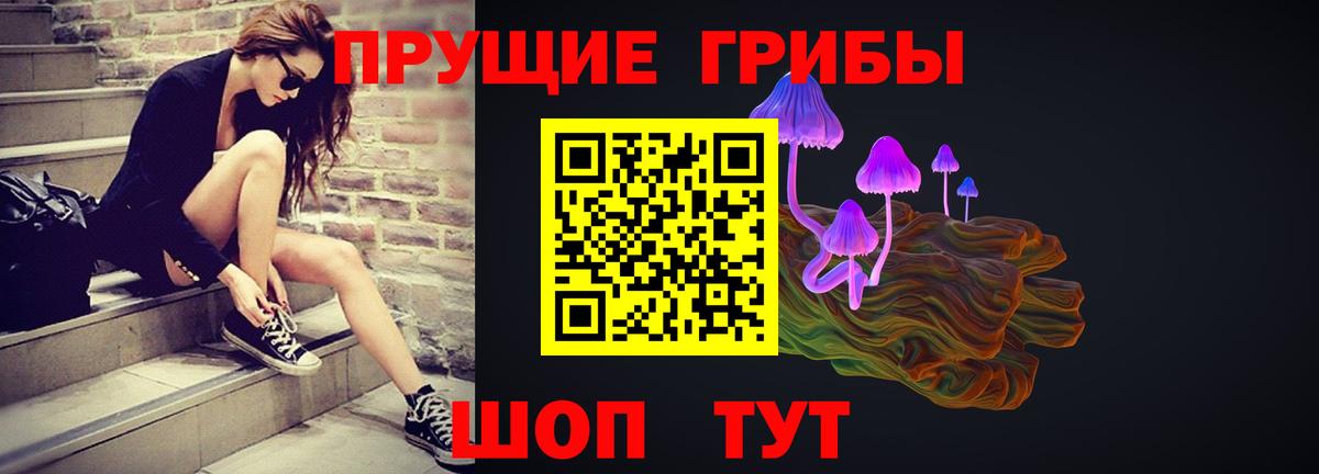 Галлюциногенные грибы Magic Shrooms  Псилоцибиновые грибы GOLDEN TEACHER  Вход с VPN  Кингисепп 